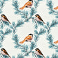 Passerine_Cotton_Blue