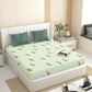 Antartic Snow White Pure Cotton Bedsheet
