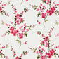 Pink_Bedsheets