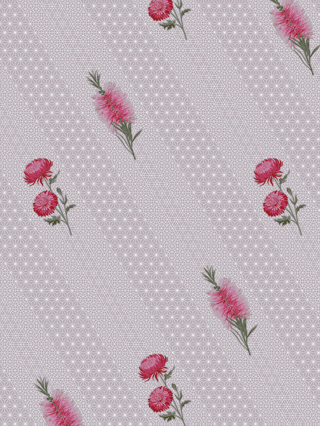 Bedsheet_Cotton