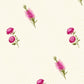 Antartic Snow White Pure Cotton Bedsheet